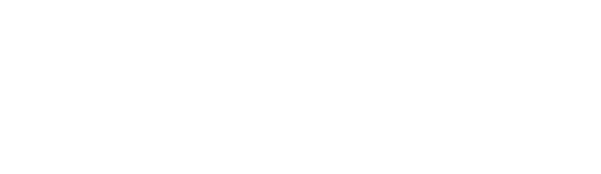 Logo Text weiß ITECH